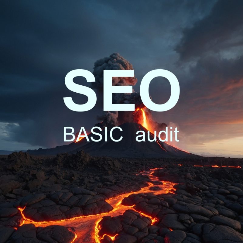 SEO BASIC audit