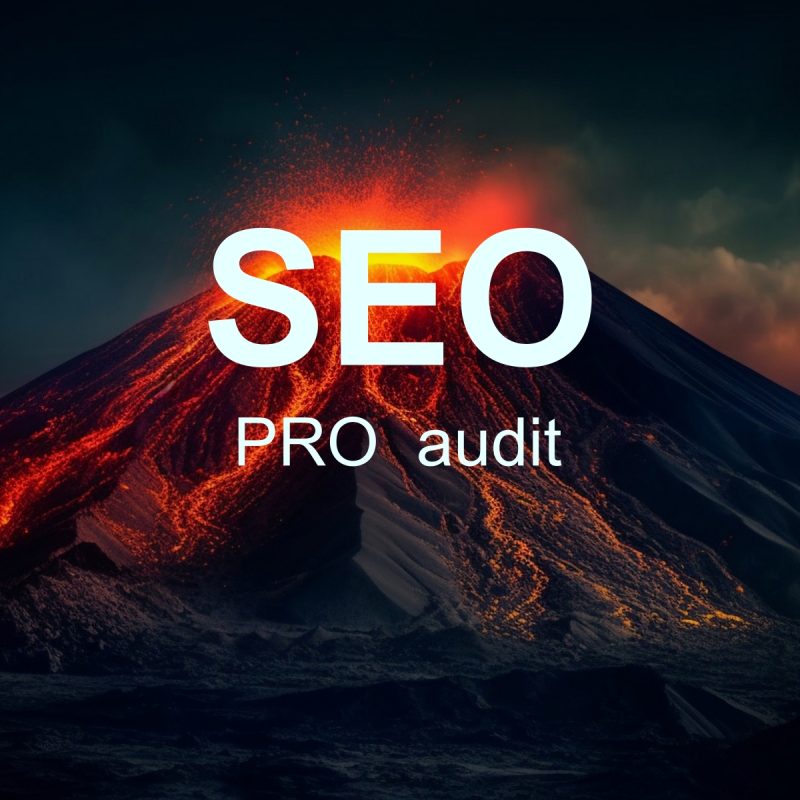 SEO PRO audit