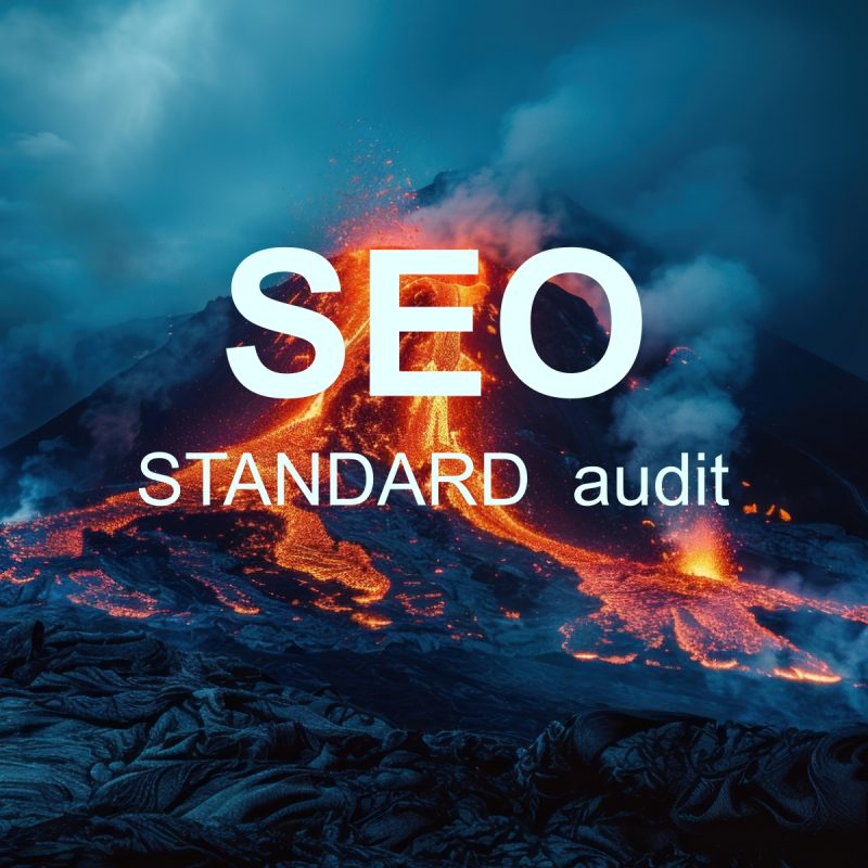 SEO STANDARD audit